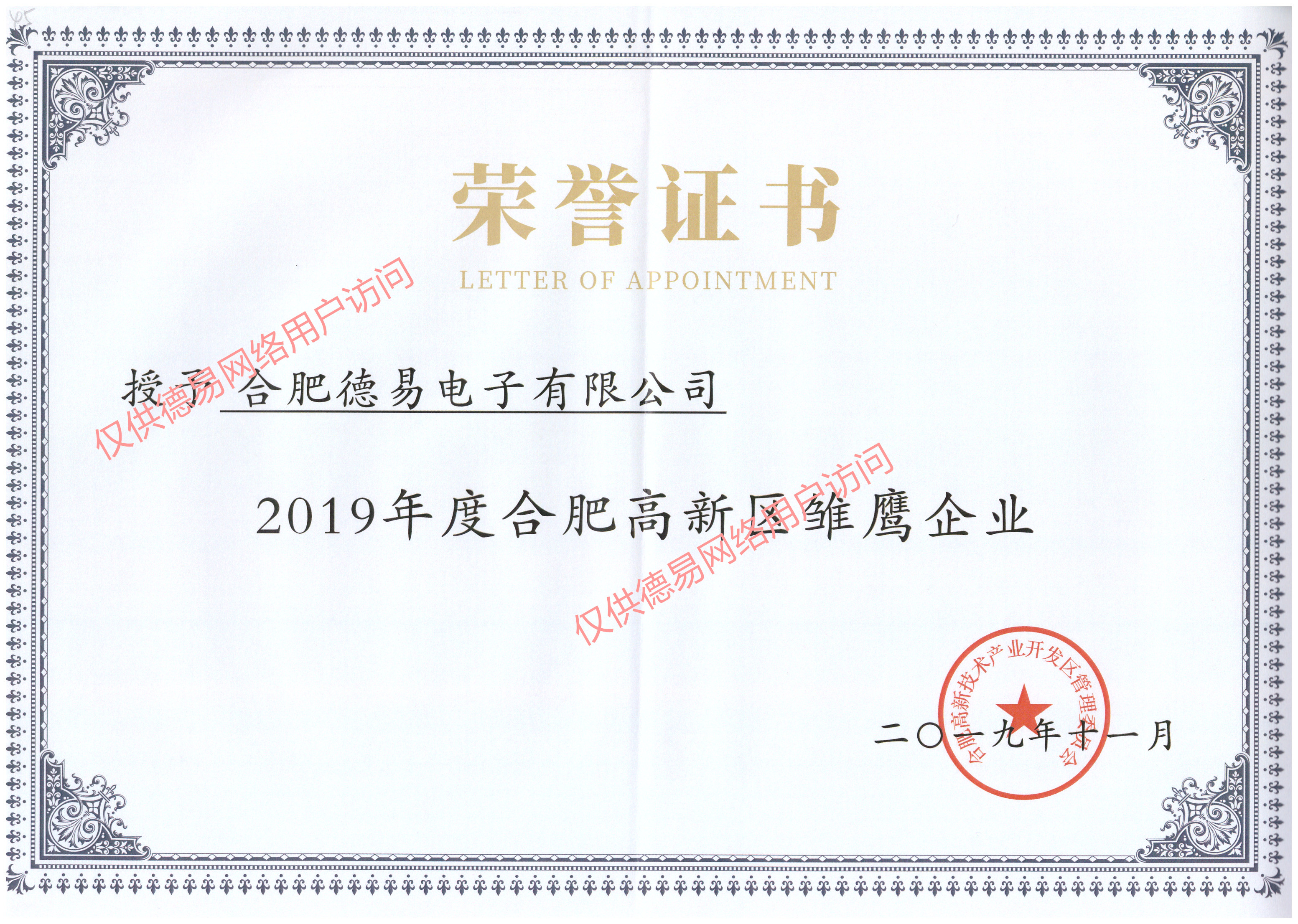 合肥高新區雛鷹企業